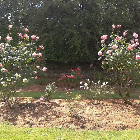 Glebe Country House